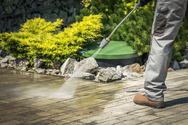 Best Soft Washing  in Union City, IN