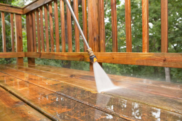 Best Dumpster Area Cleaning  in Union City, IN